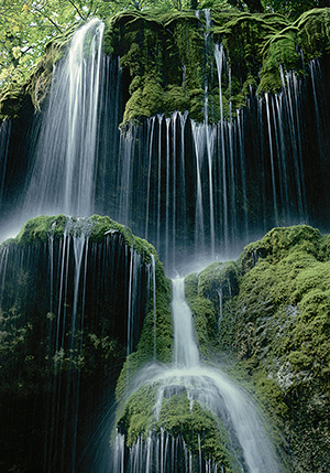 Das Reinigungsprogramm